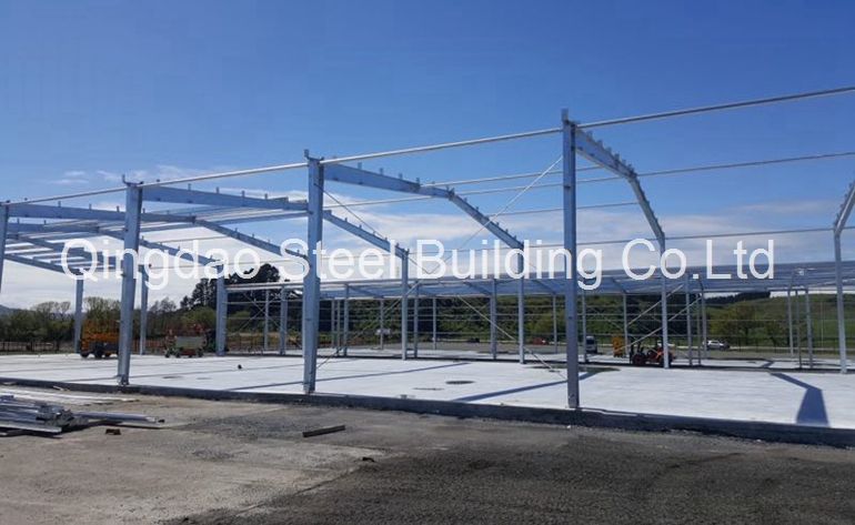   Steel Structure Warehouse