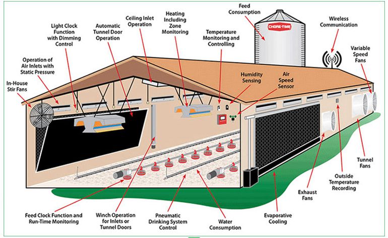   Why chooze steel poultry building?