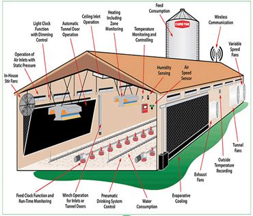 Poultry Farm Building