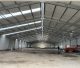 Steel Shed