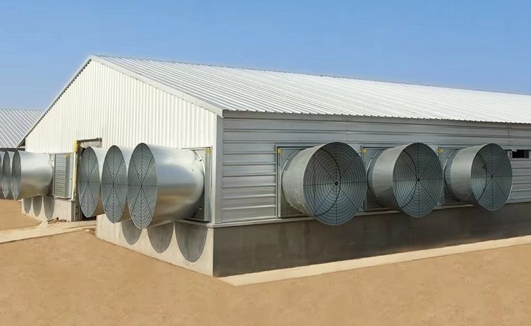   Chicken House-Qatar ￼