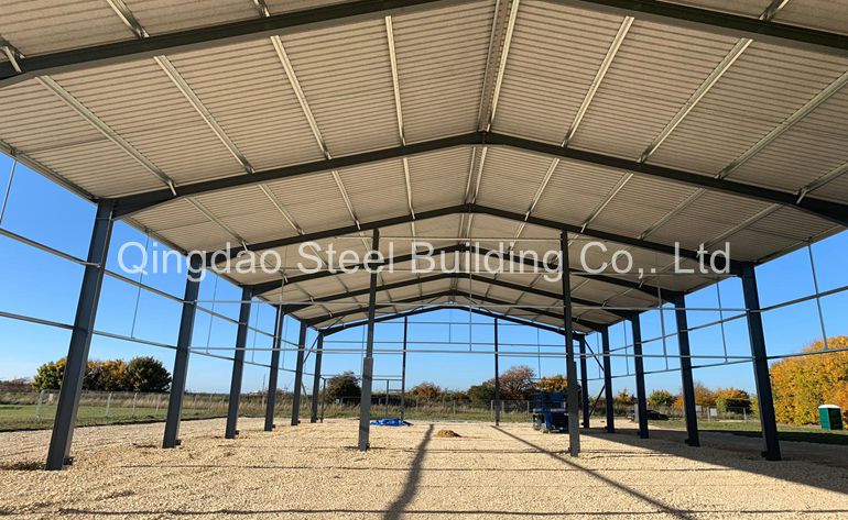   why advice use steel structure for industrial building?