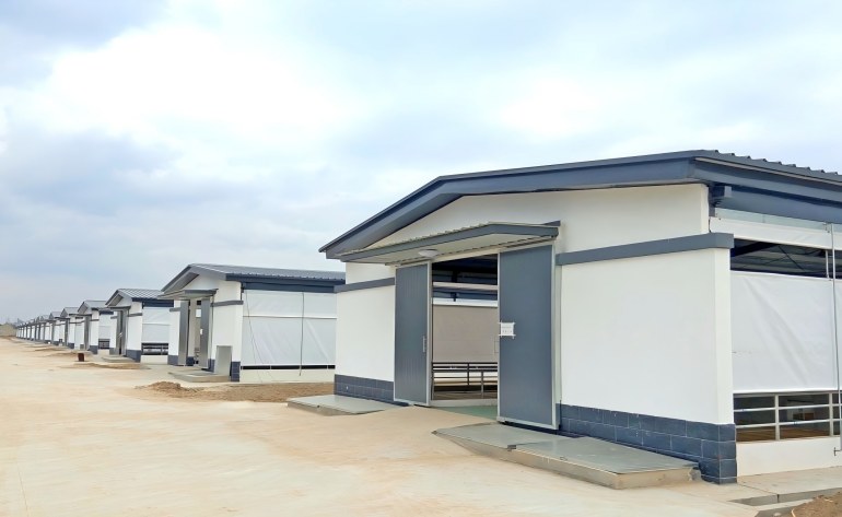   Modern Steel Structure Sheep Shed: The Ultimate Solution for Global Large-Scale Sheep Farming￼