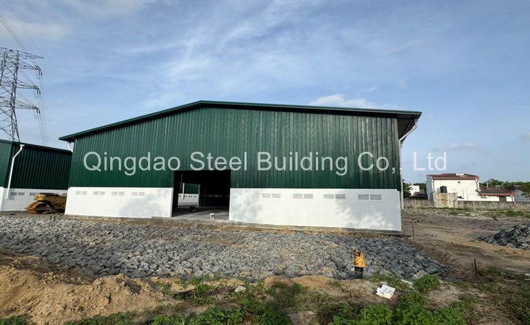   Steel Structure Warehouse+canopy–Sri Lanka
