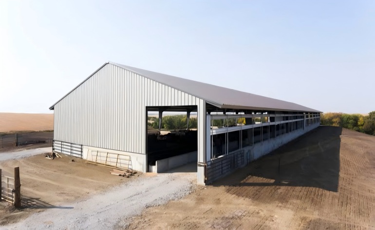   Prefabricated Steel Structure Livestock Shed: Durable, Cost-Effective & Global-Friendly Farming Housing￼