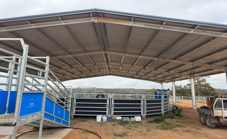   Steel Structure Buildings